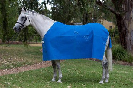 Blue Budget Felt Lined Rug