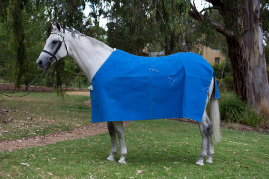 Blue Wool Lined Rug