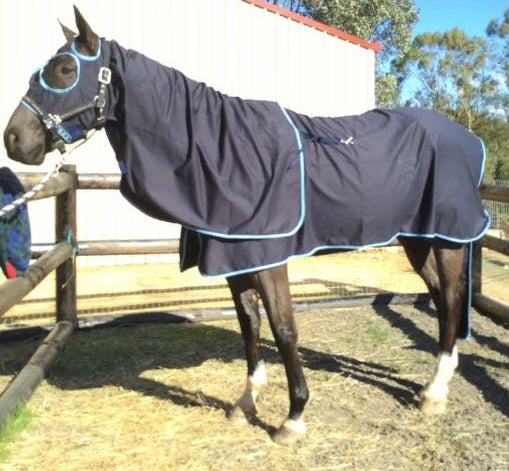 Cotton Drill Rug