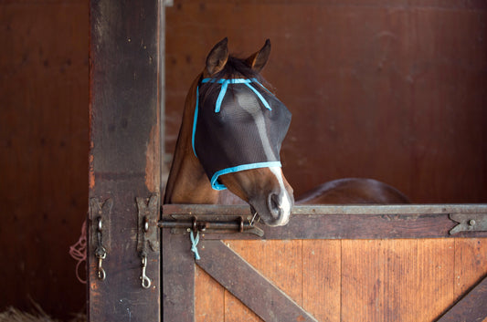 Fly Masks