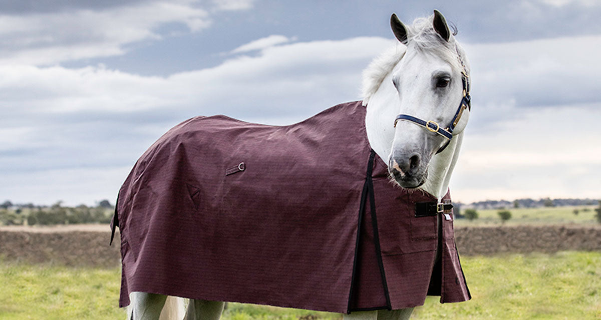 WINTER RUGS – High Plains Rugs