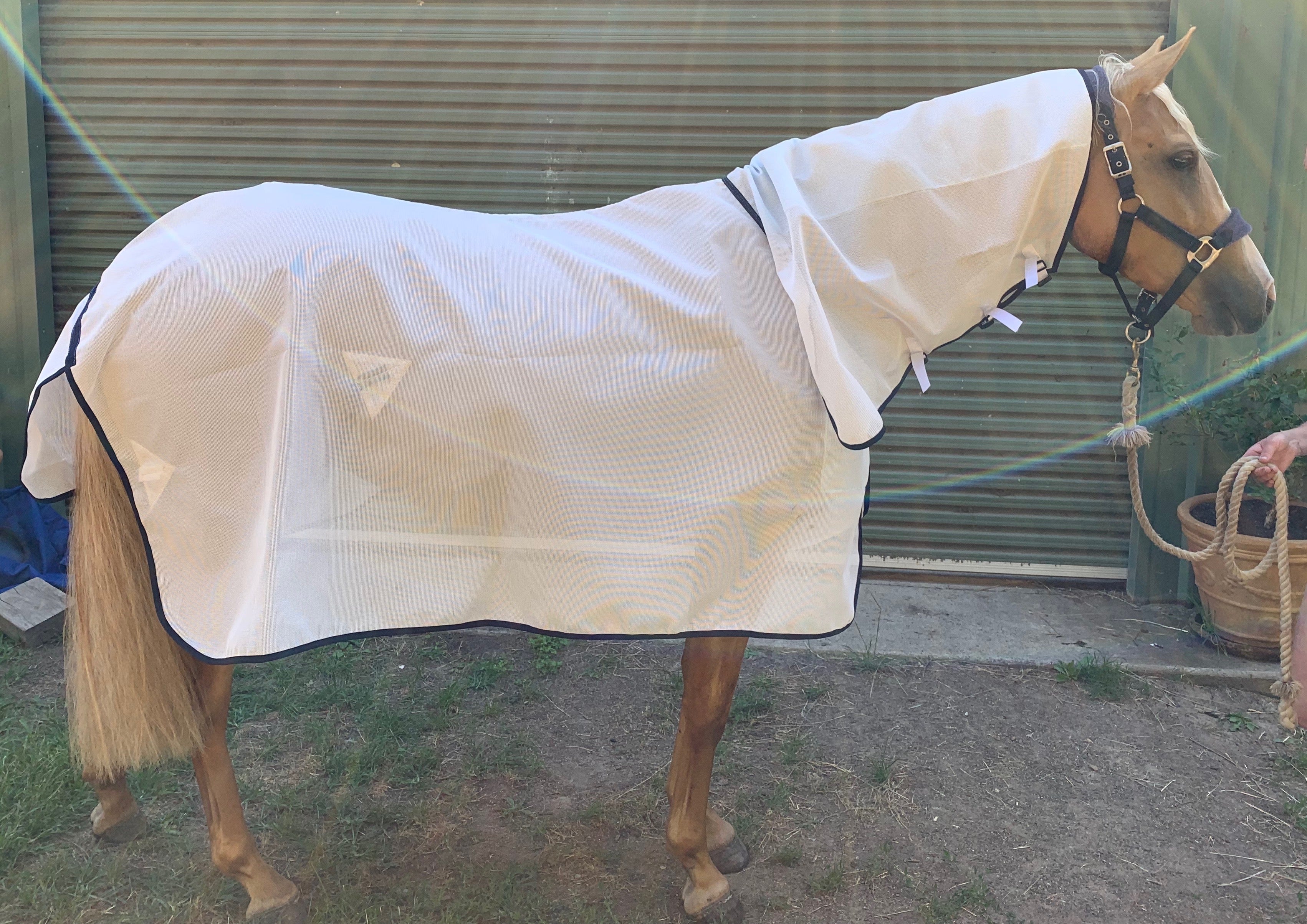 Blue Gum Mesh Rug – High Plains Rugs