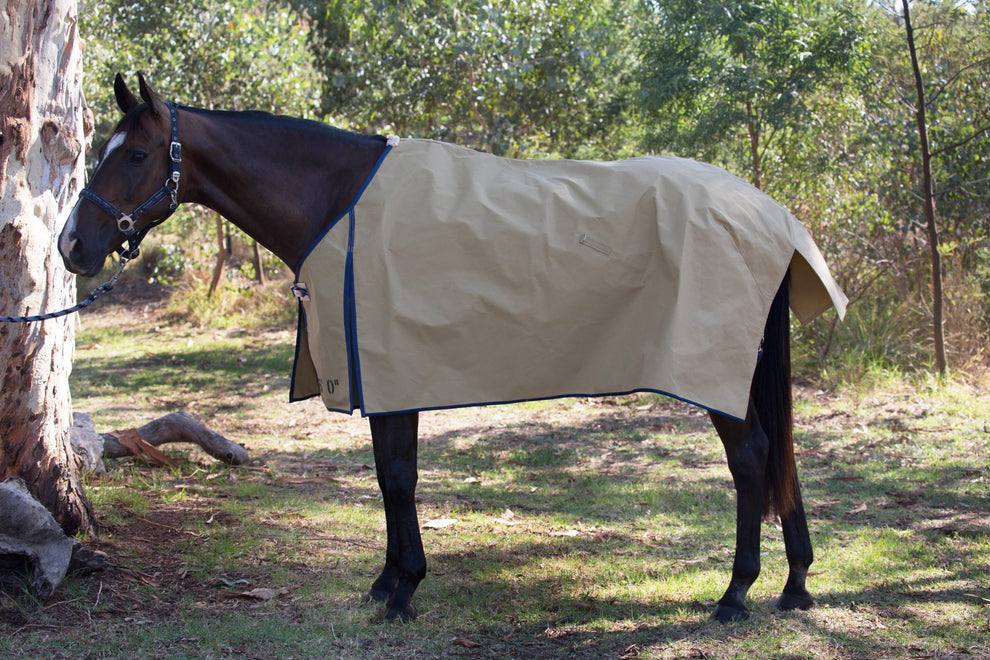 Grampian Wool Rug - Sandstone