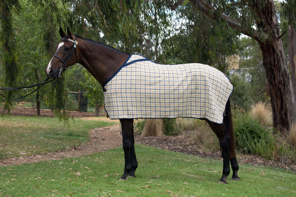 Wool Show Rug – High Plains Rugs